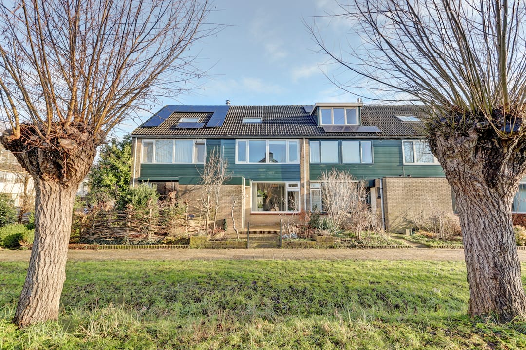 Photo 37 of Valeriaan 41