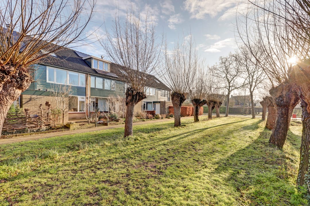 Photo 38 of Valeriaan 41