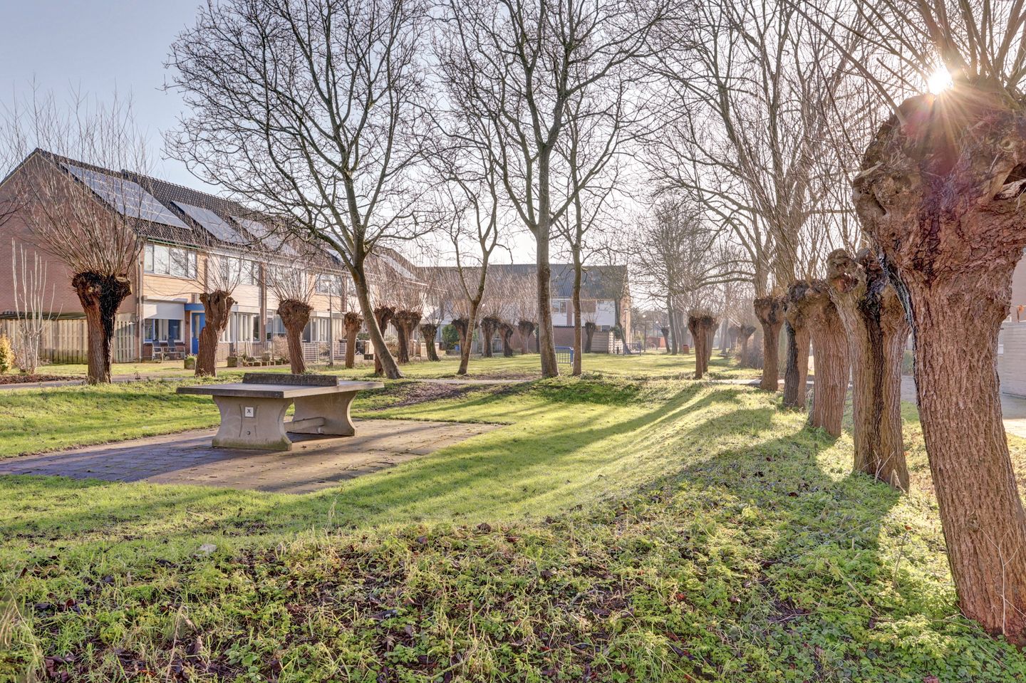 Photo 40 of Valeriaan 41