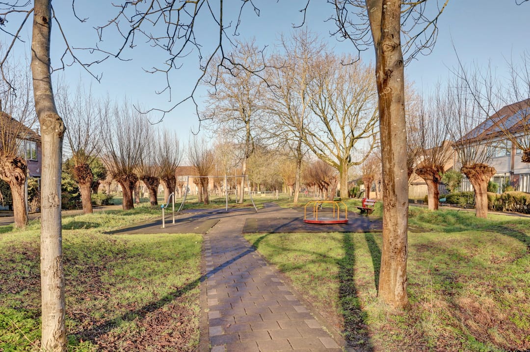 Photo 41 of Valeriaan 41