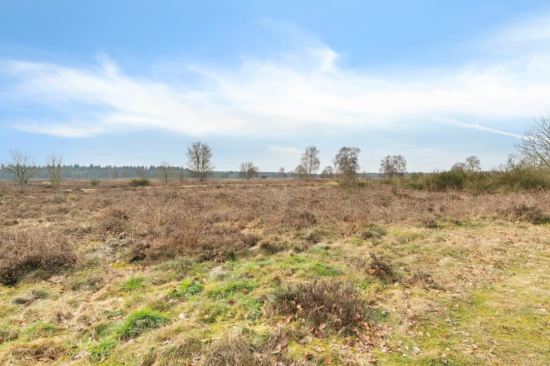 Foto 38 van Retiefstraat 152