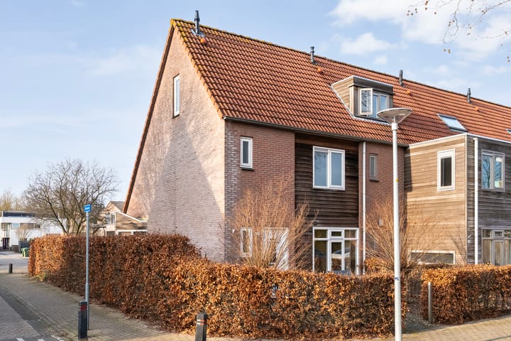 Foto 1 van Roerdomp 47