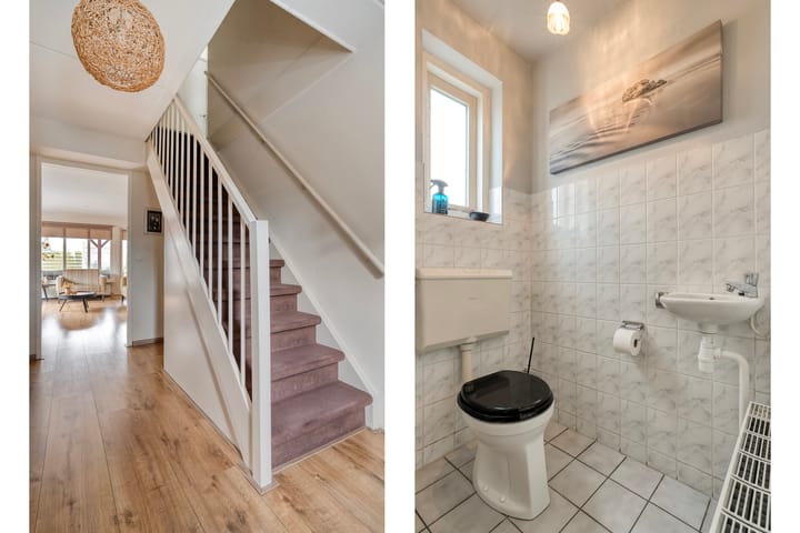 Foto 5 van Roerdomp 47