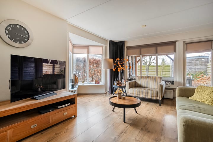 Foto 6 van Roerdomp 47