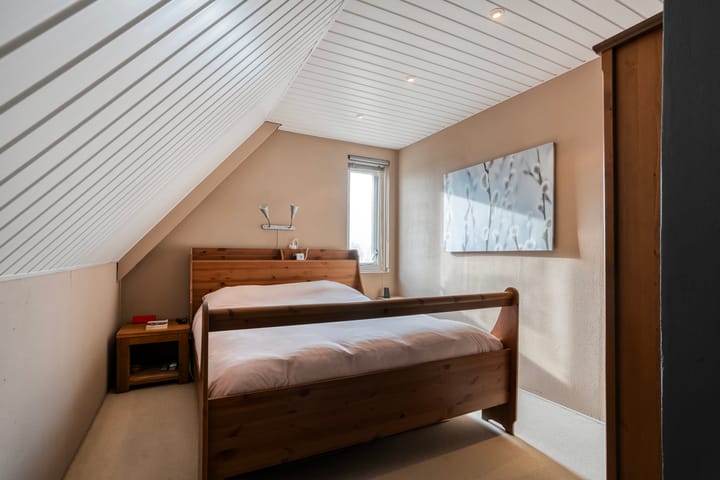 Foto 24 van Roerdomp 47