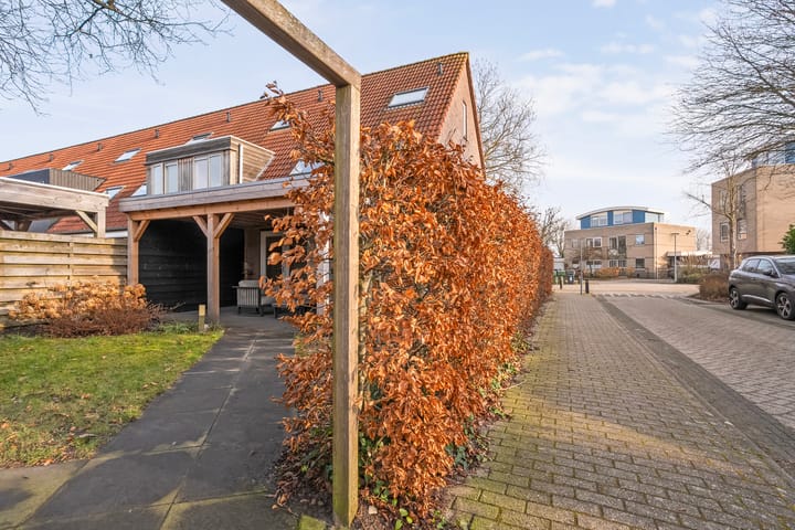 Foto 33 van Roerdomp 47