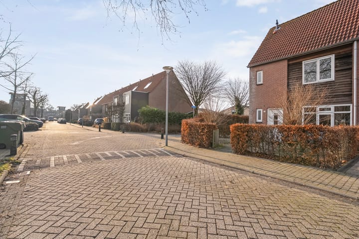 Foto 35 van Roerdomp 47