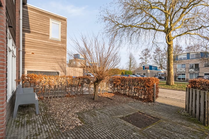 Foto 36 van Roerdomp 47