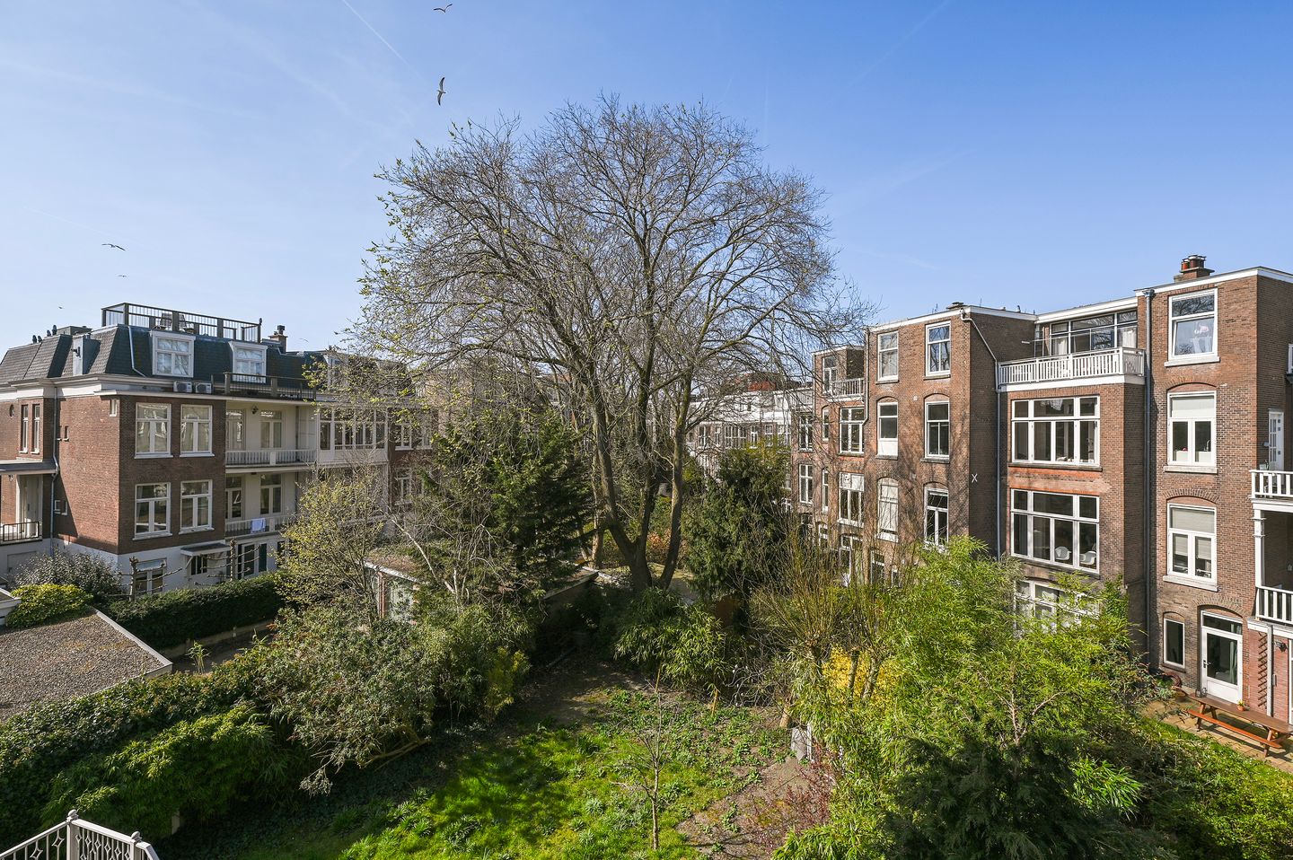 Foto 44 van Antwerpsestraat 8