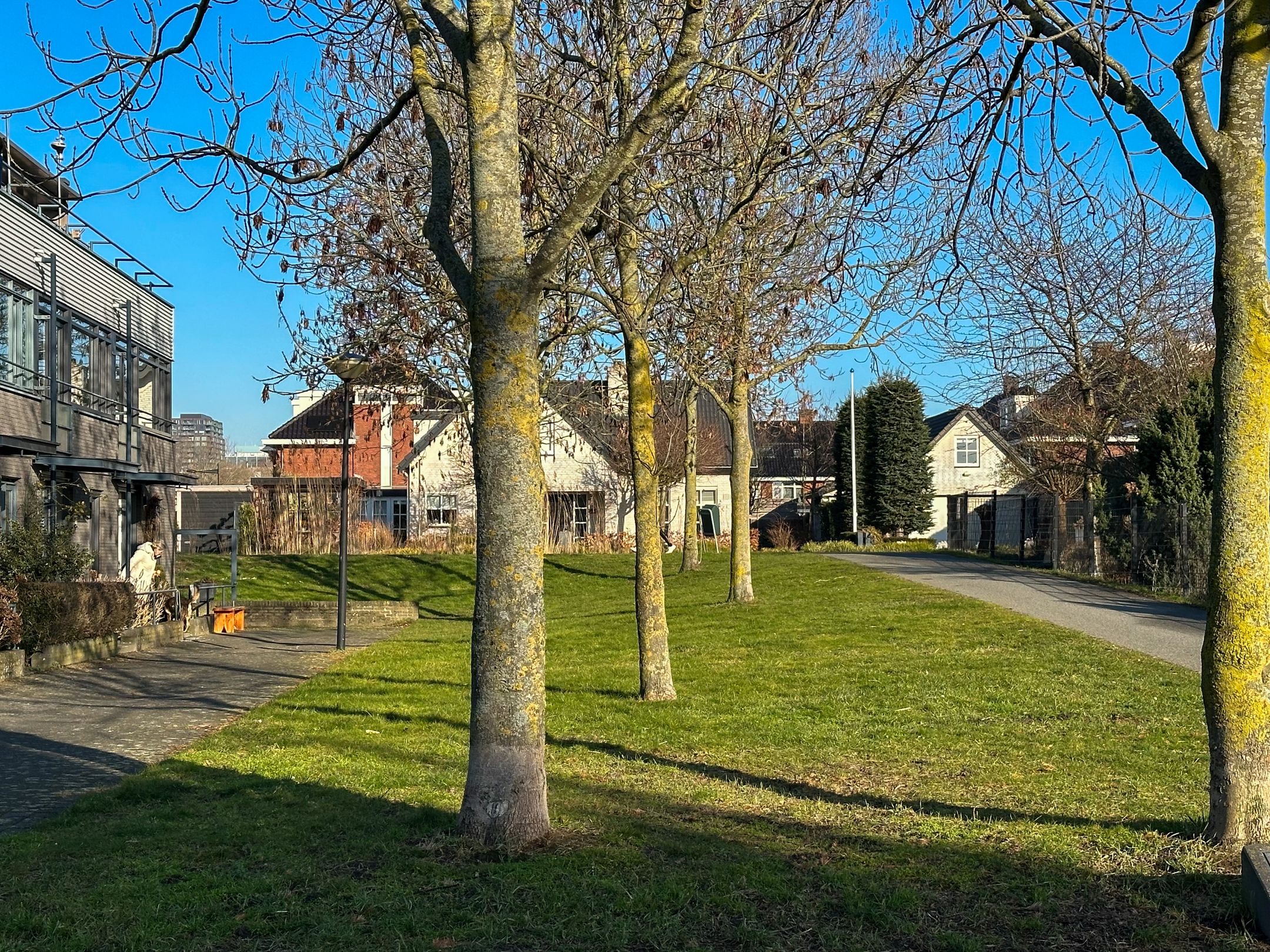 Foto 39 van Vogelenzanglaan 9