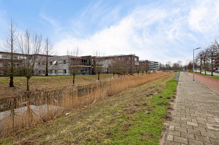 Foto 34 van Rottumeroog 44