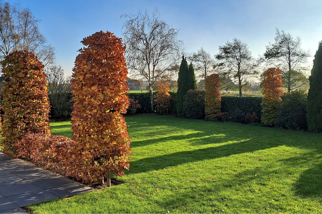 Foto 47 van Einsteinstraat 31