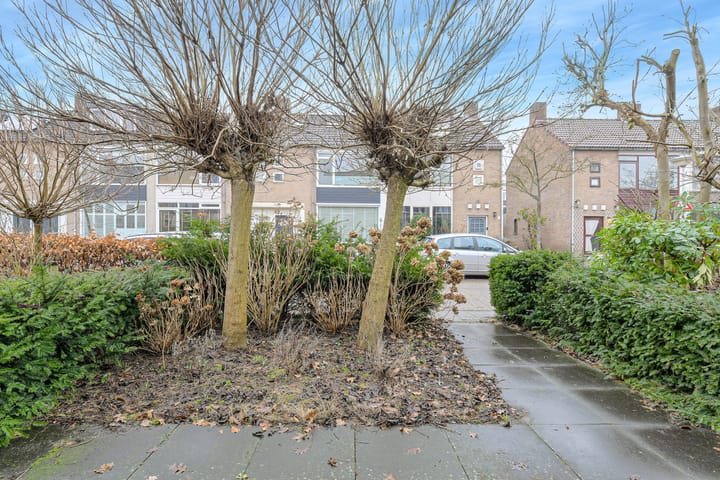 Foto 38 van Andreasstraat 21