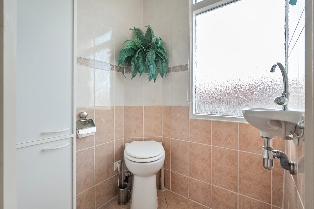 Foto 22 van Begoniastraat 66