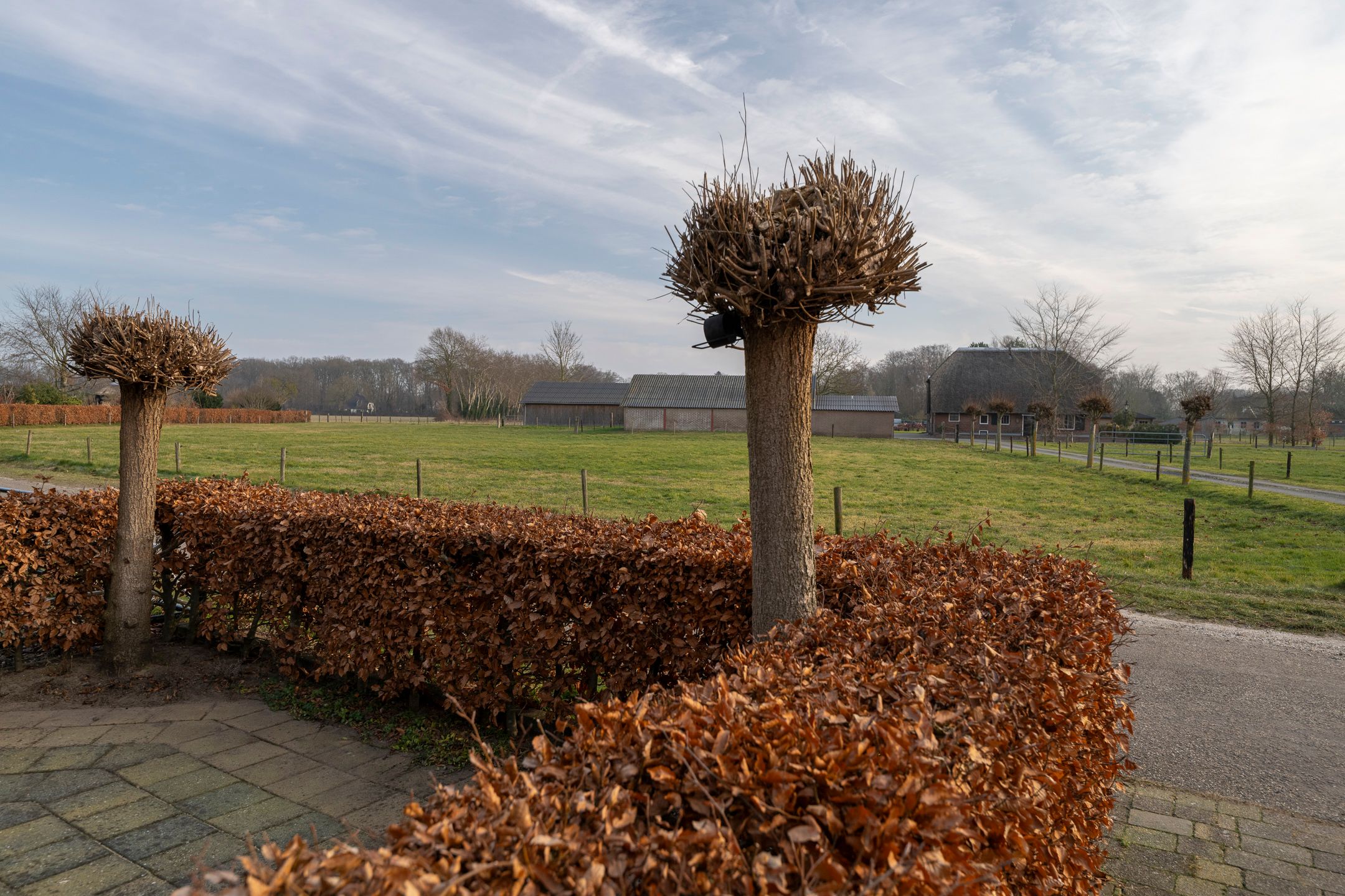 Foto 57 van Basseltlaan 11