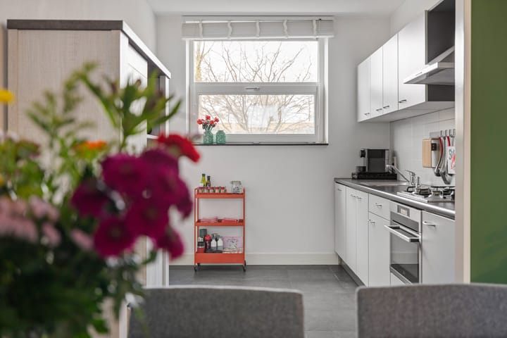 Foto 3 van Sterappel 23