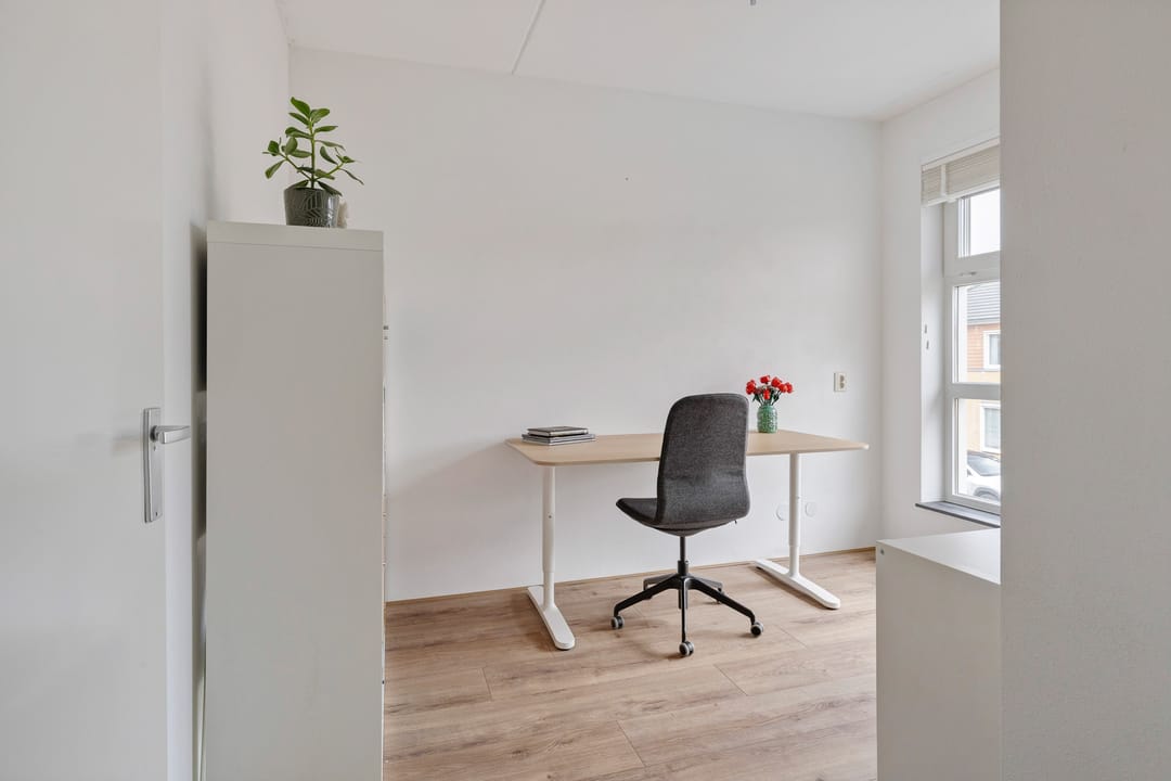 Photo 23 of Sterappel 23