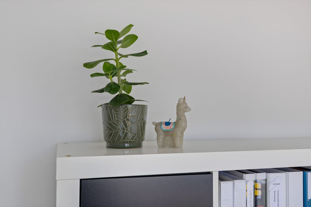 Photo 26 of Sterappel 23