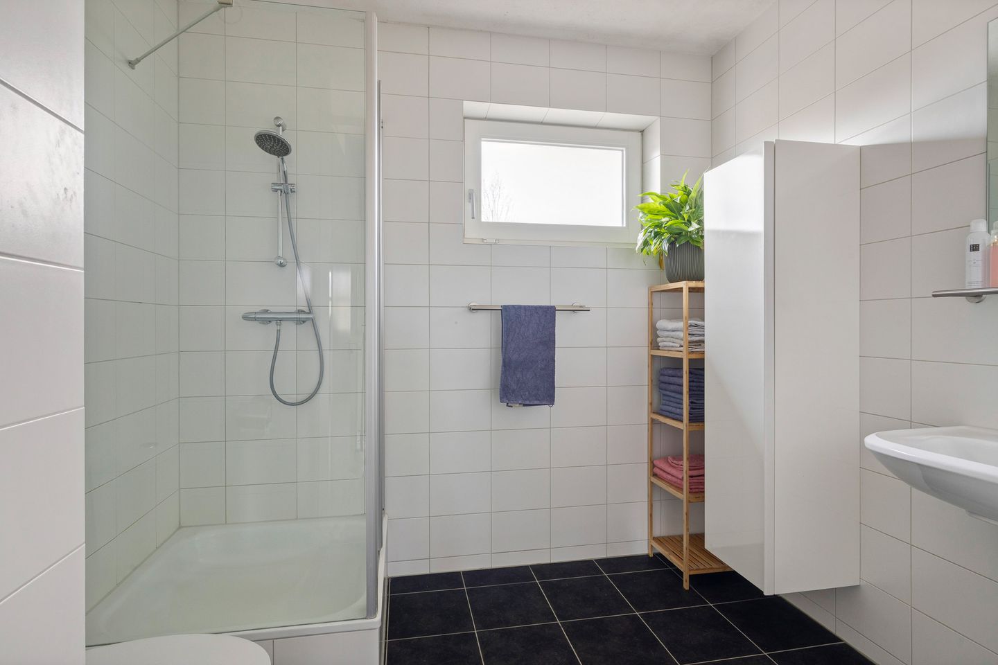 Photo 29 of Sterappel 23