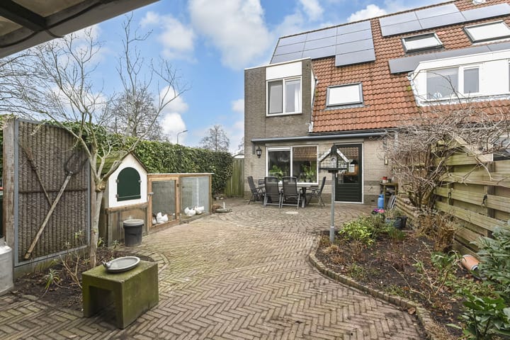 Foto 2 van Gentiaan 2