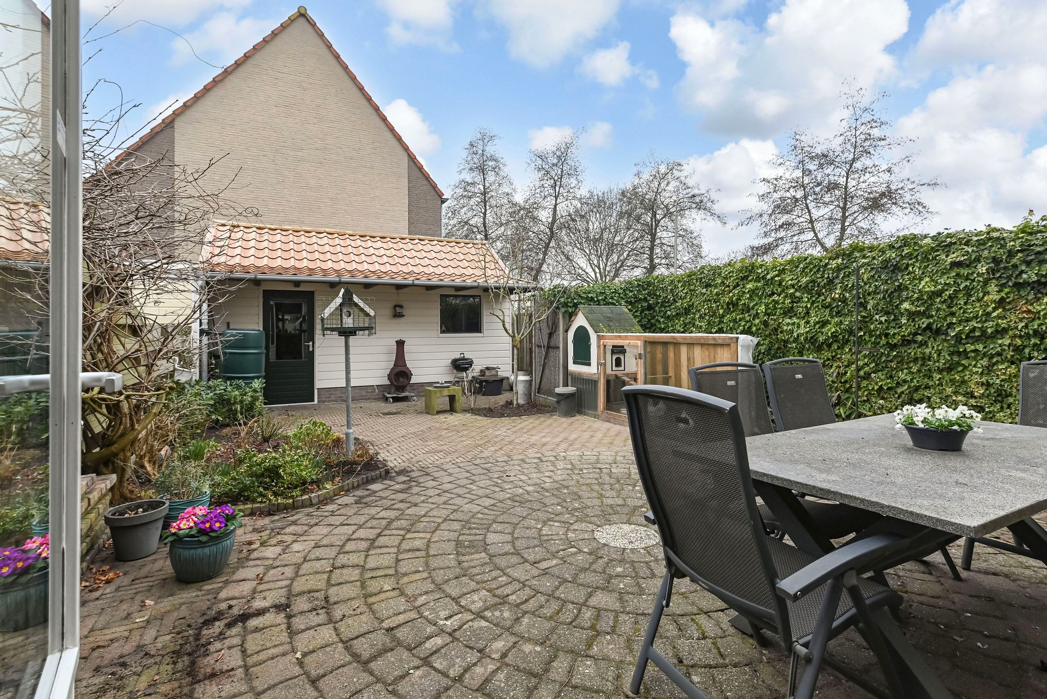 Foto 3 van Gentiaan 2