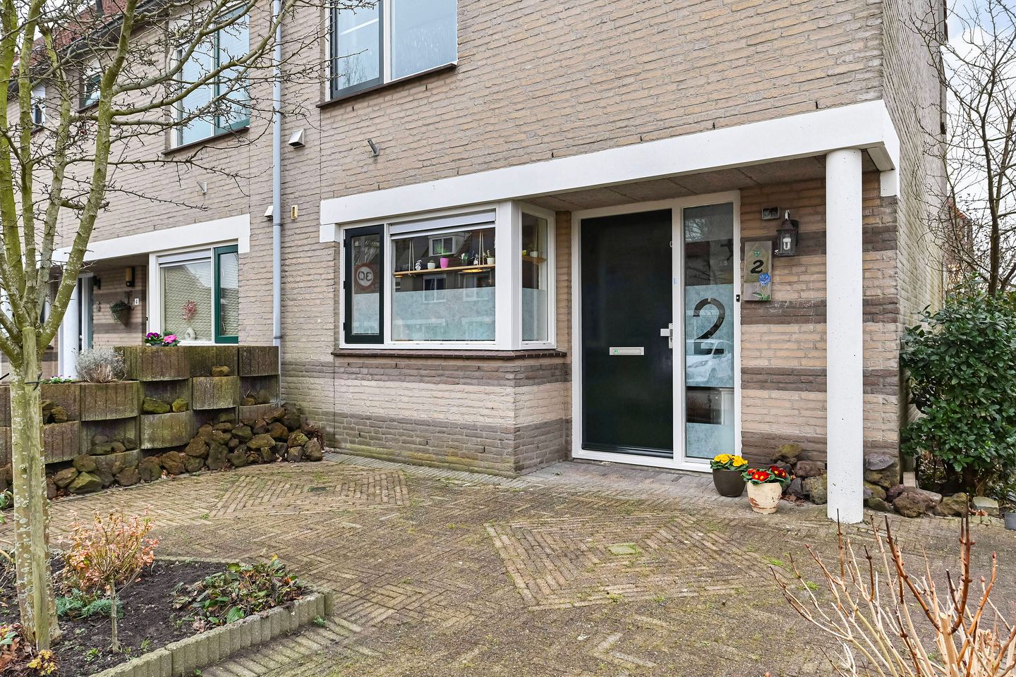 Foto 5 van Gentiaan 2