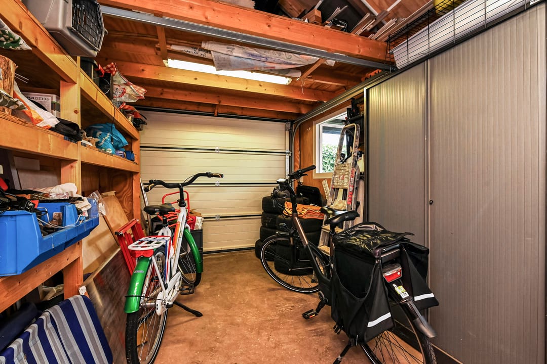 Foto 11 van Gentiaan 2