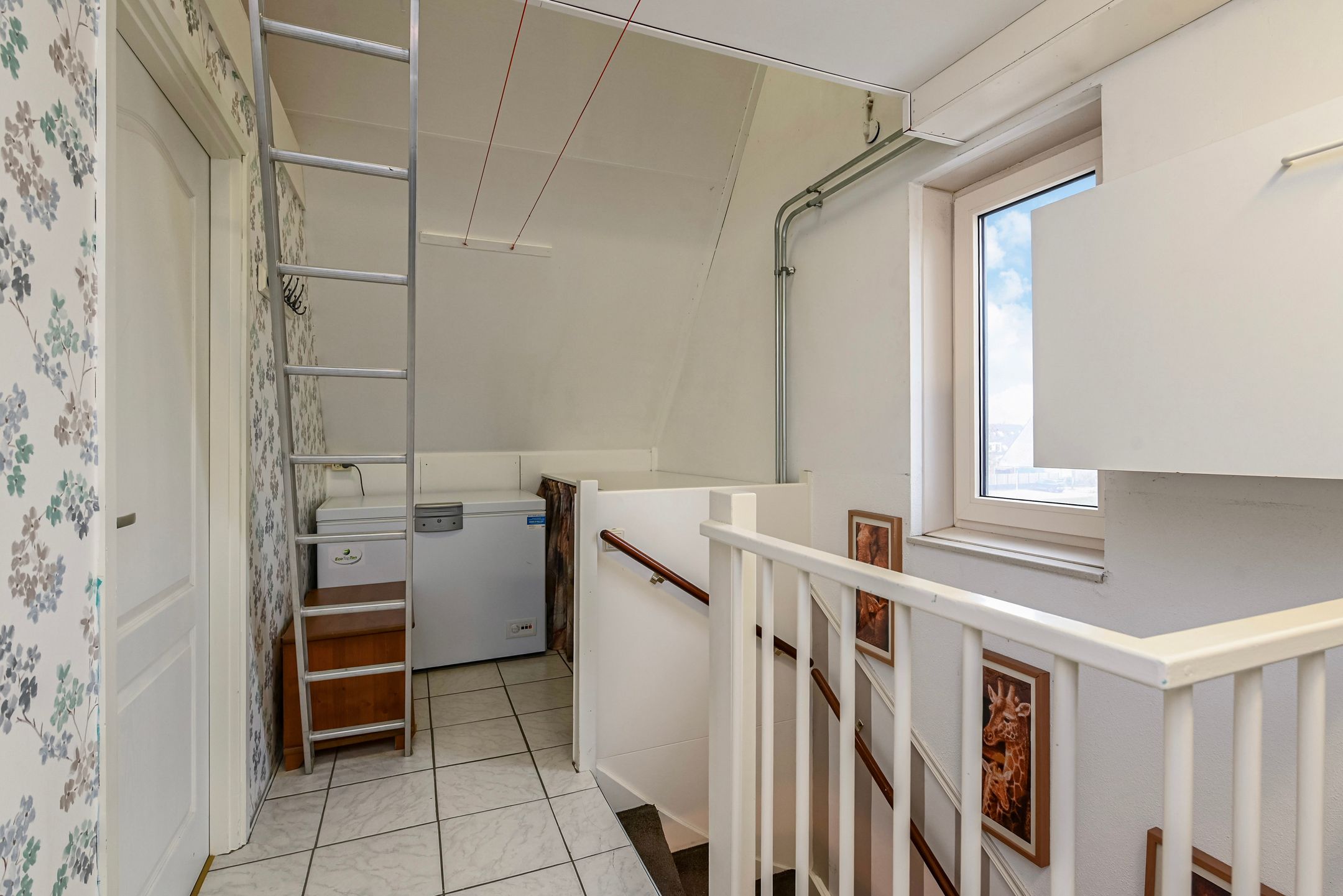 Foto 36 van Gentiaan 2