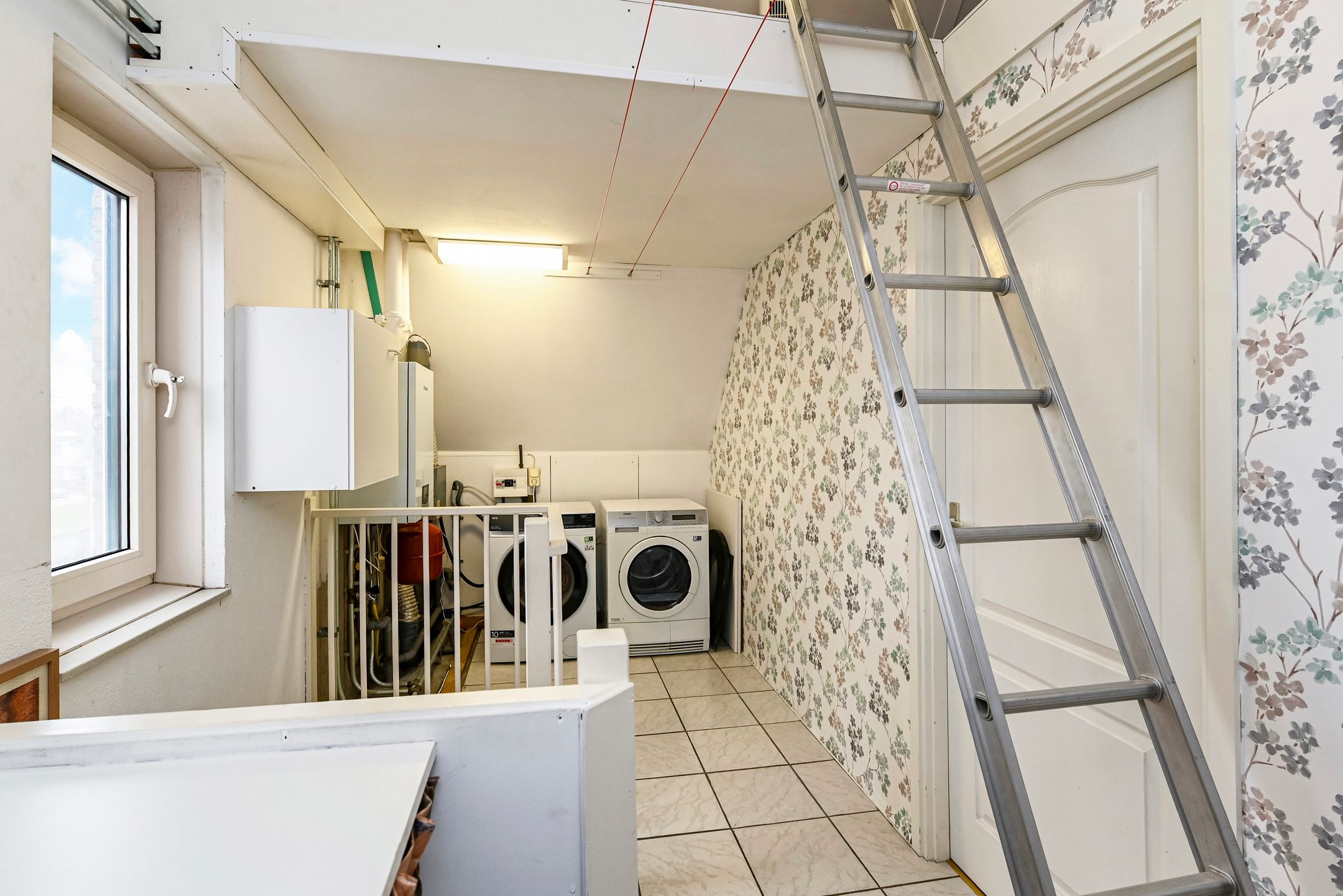 Foto 39 van Gentiaan 2