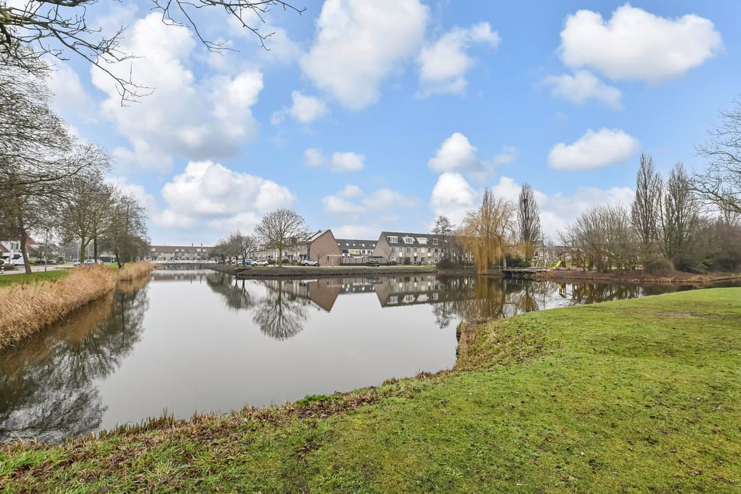 Foto 43 van Gentiaan 2