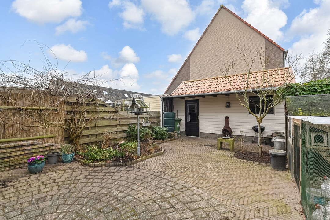 Foto 8 van Gentiaan 2