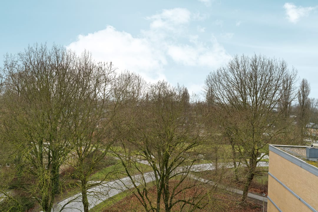 Photo 32 of Leimuidenplaats 39