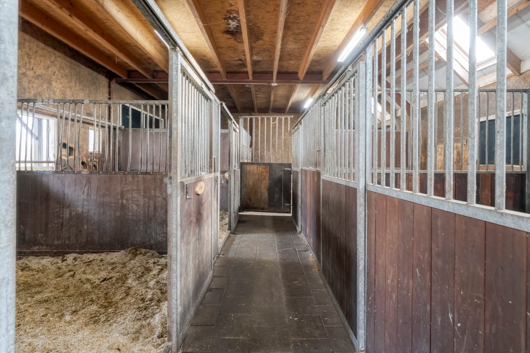 Foto 56 van Koekanger Dwarsdijk 83