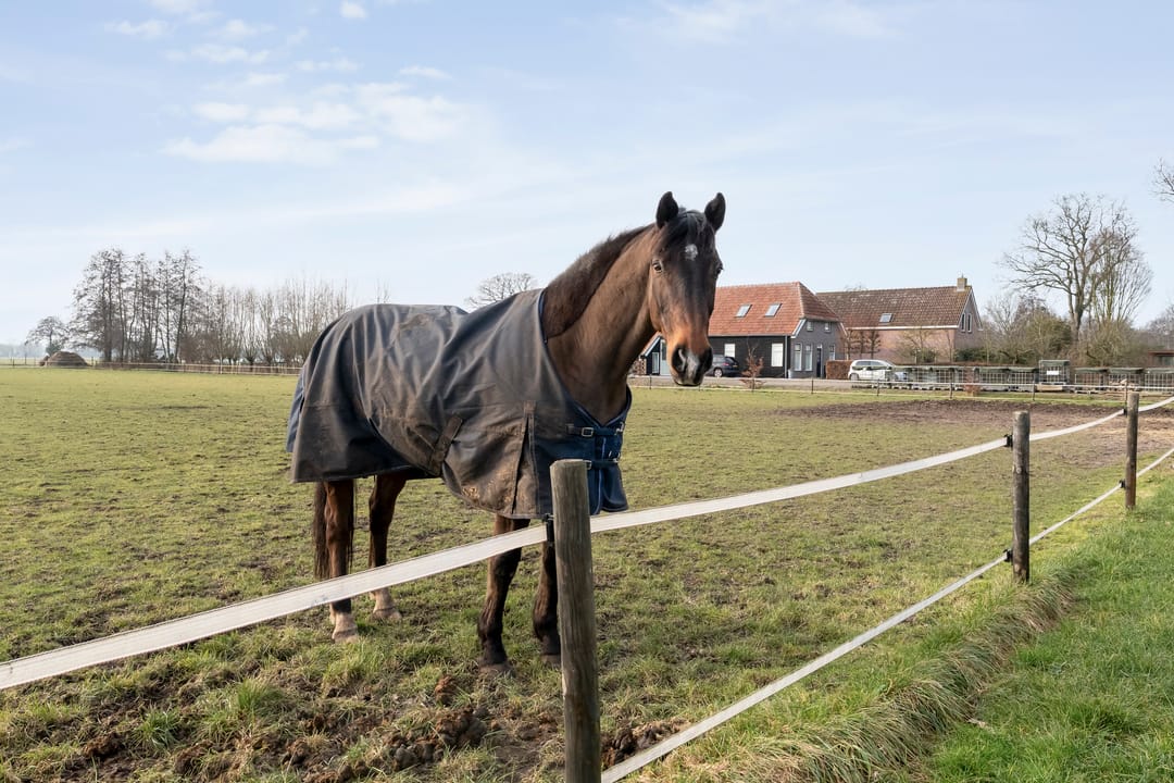 Foto 61 van Koekanger Dwarsdijk 83