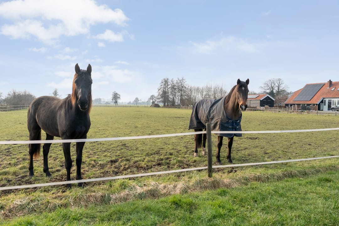 Foto 62 van Koekanger Dwarsdijk 83