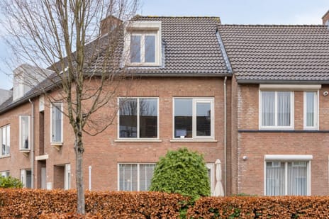 undefined main image