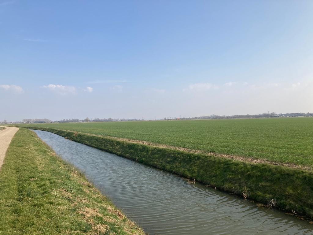 Foto 27 van Nieuwslag 9