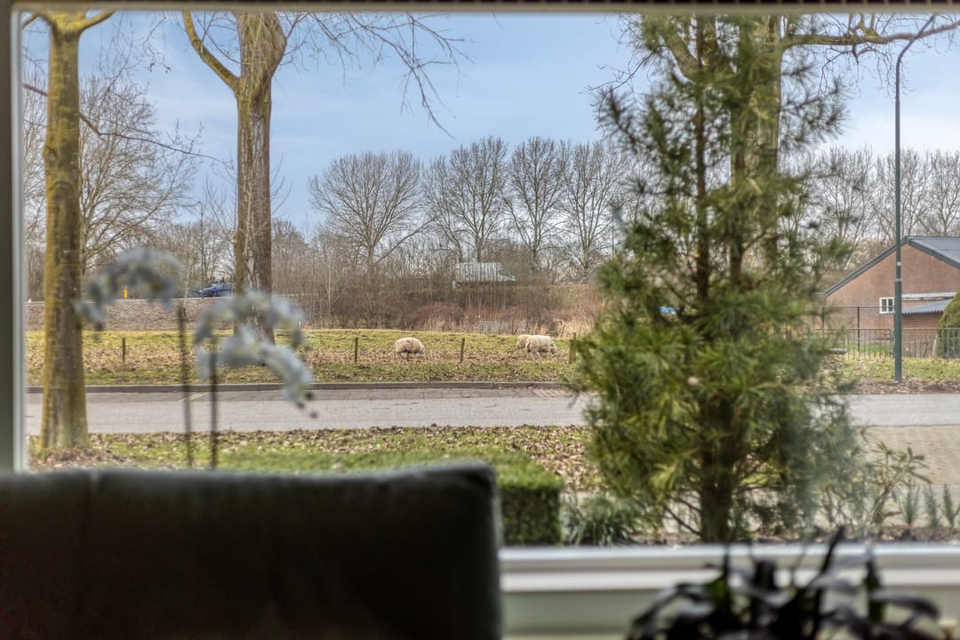 Photo 7 of Schijndelseweg 160