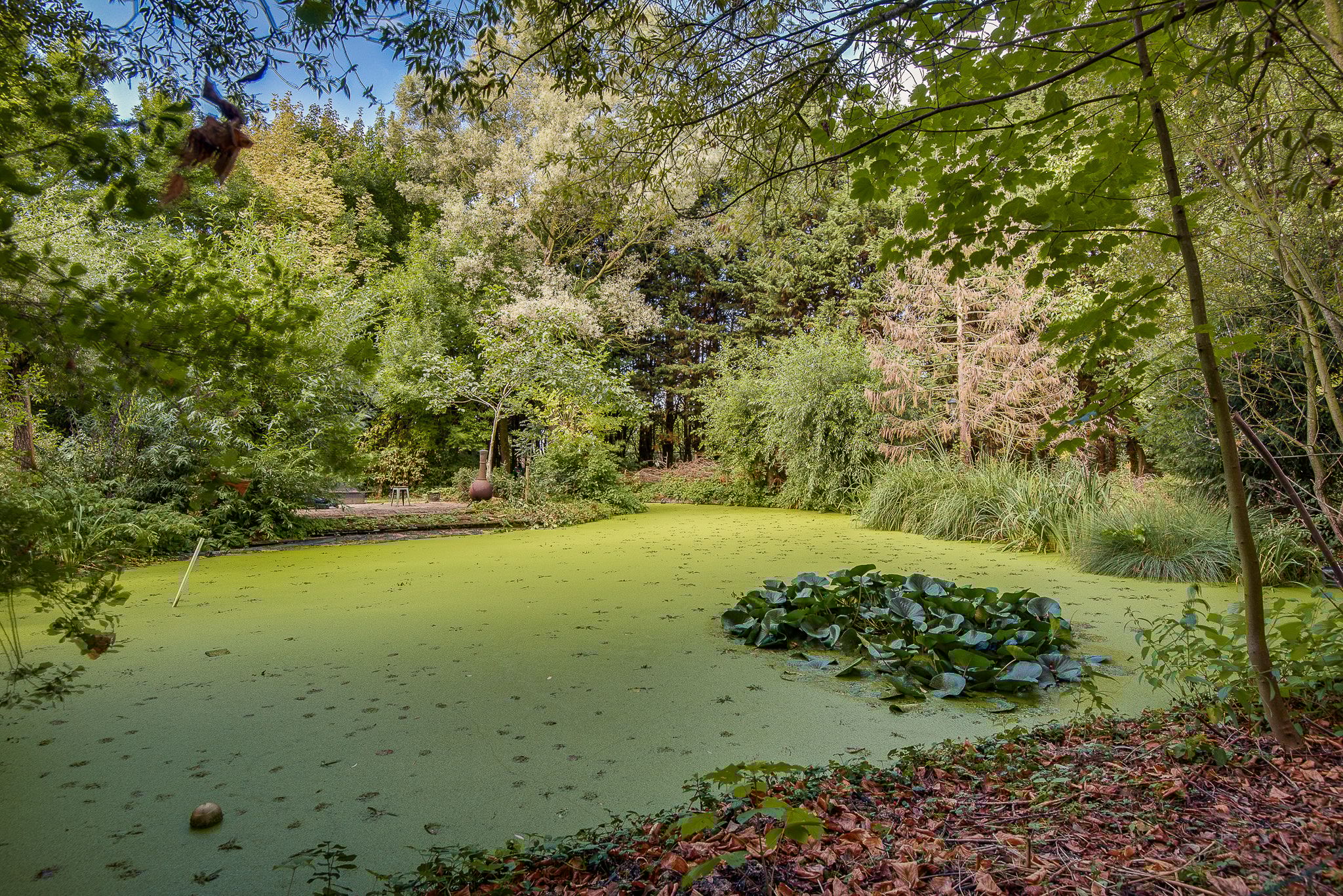 Foto 60 van Gansoyen 39