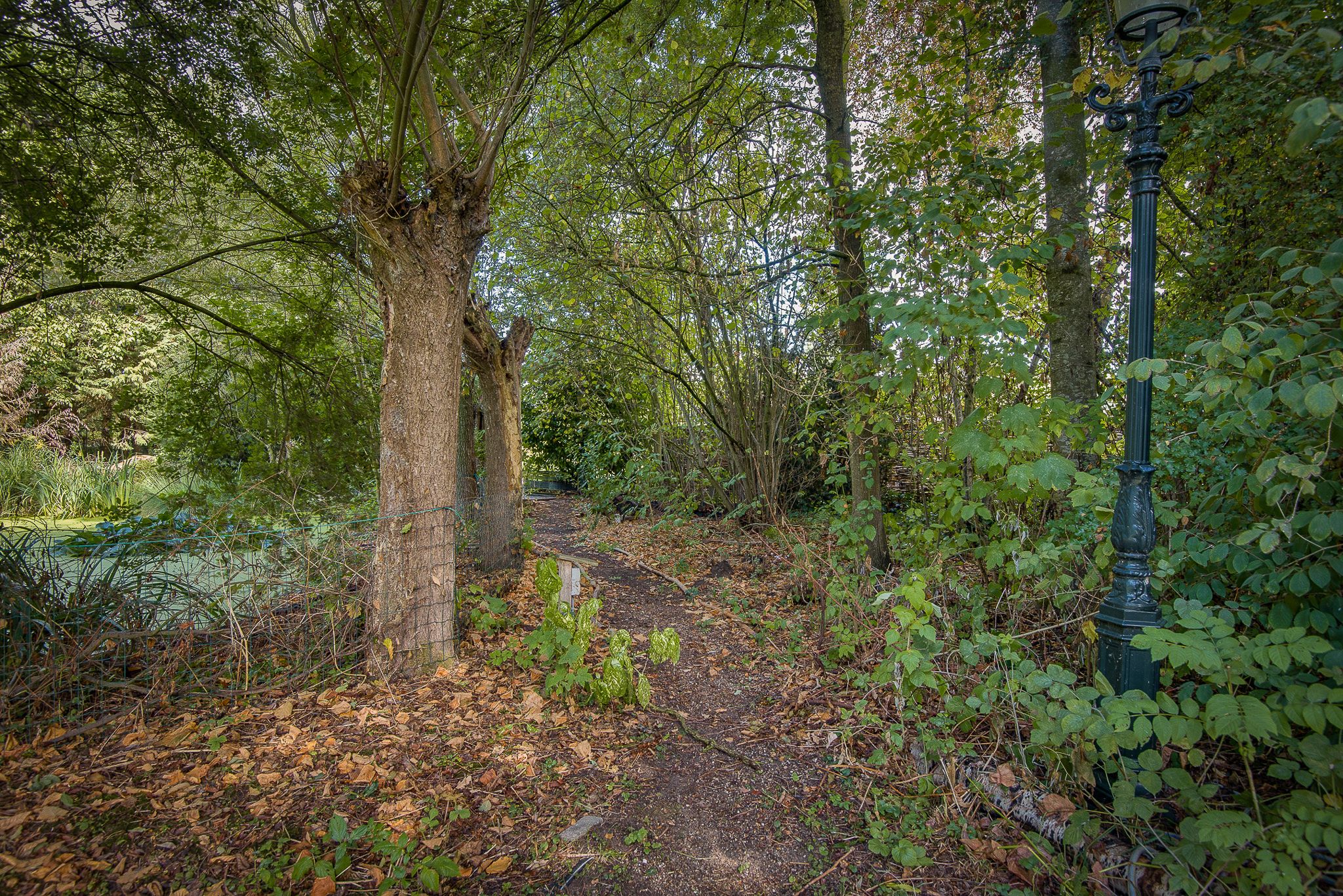 Foto 63 van Gansoyen 39