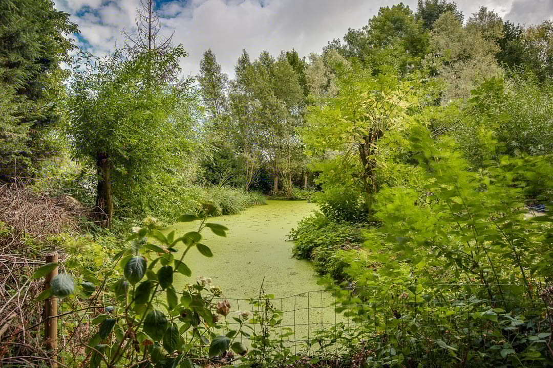 Foto 71 van Gansoyen 39