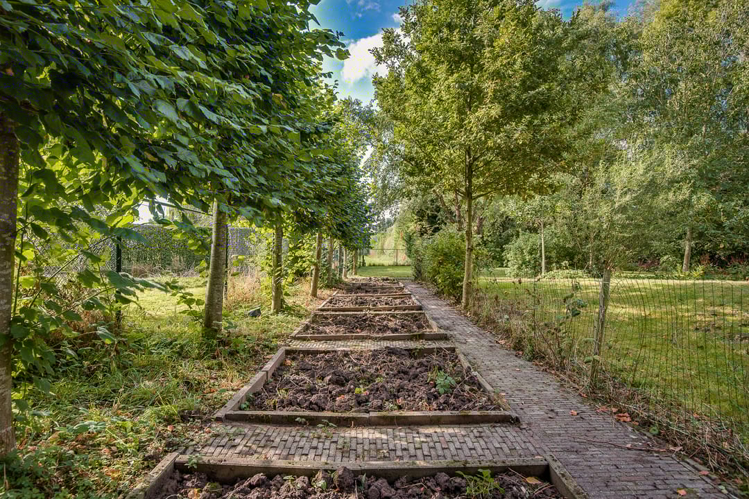 Foto 73 van Gansoyen 39