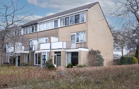 undefined main image