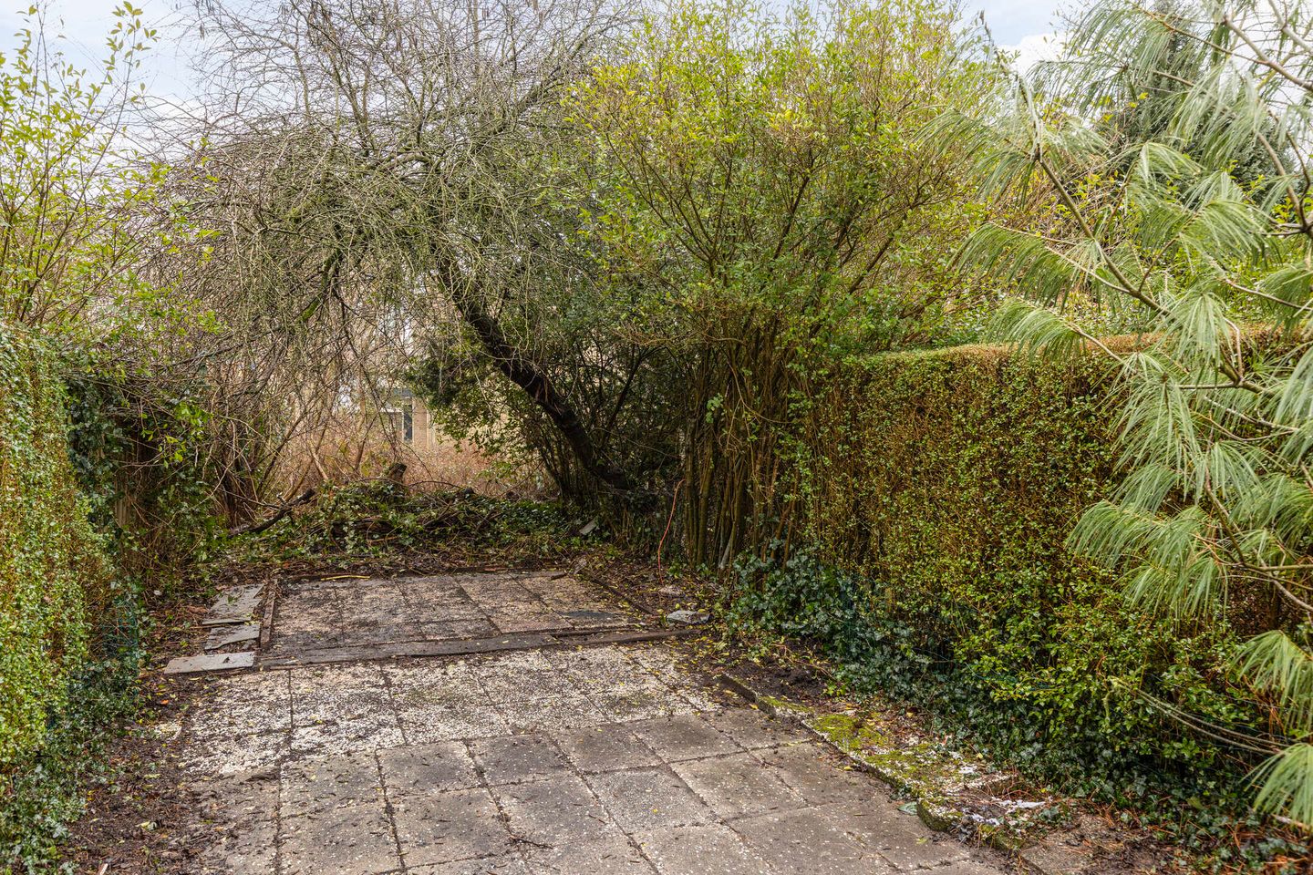 Foto 20 van Weezenhof 3246