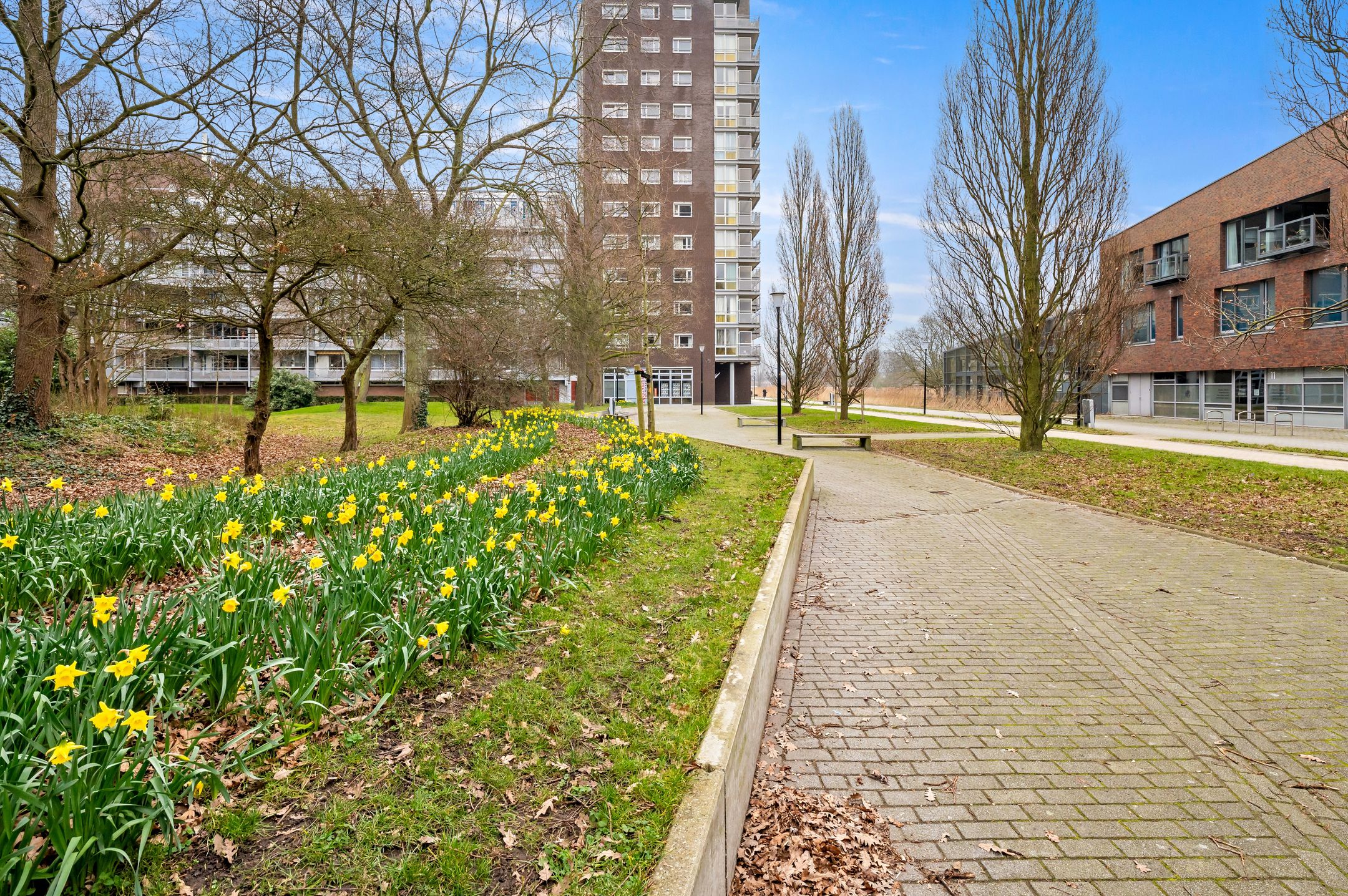 Foto 39 van Laan van Ouderzorg 102