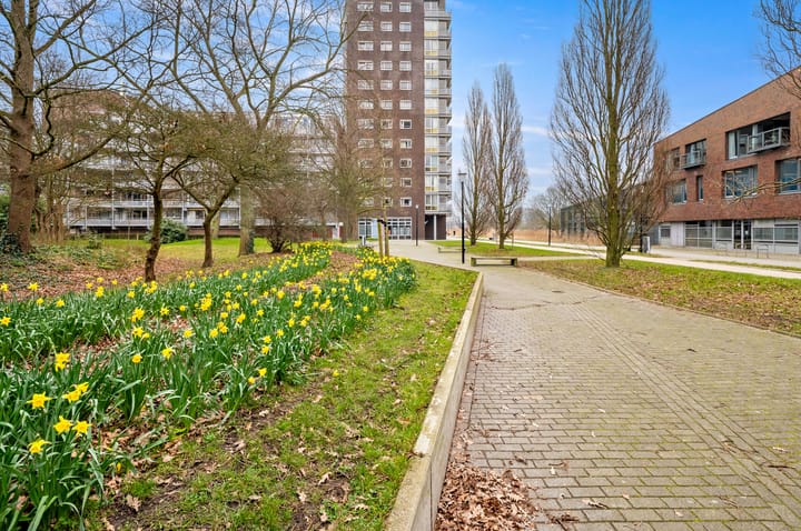 Foto 39 van Laan van Ouderzorg 102