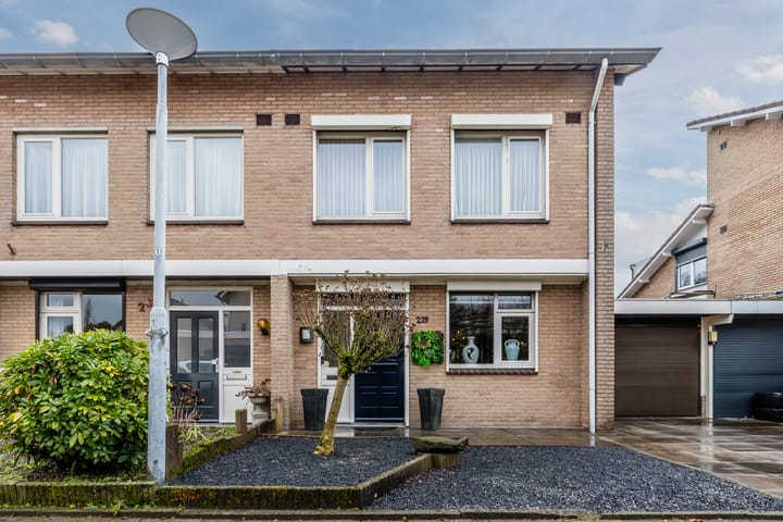 Wilack 229 main image