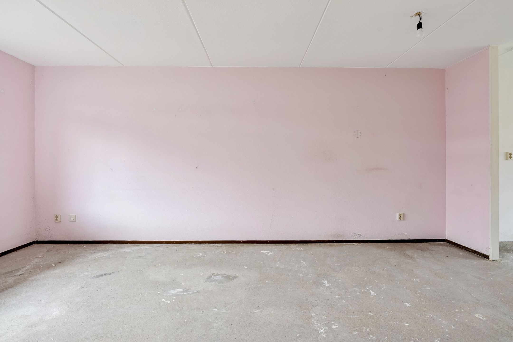 Foto 6 van Jan Steenstraat 87