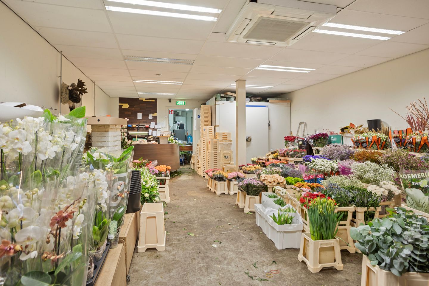 Bekijk foto 5 van Noordewierweg 97