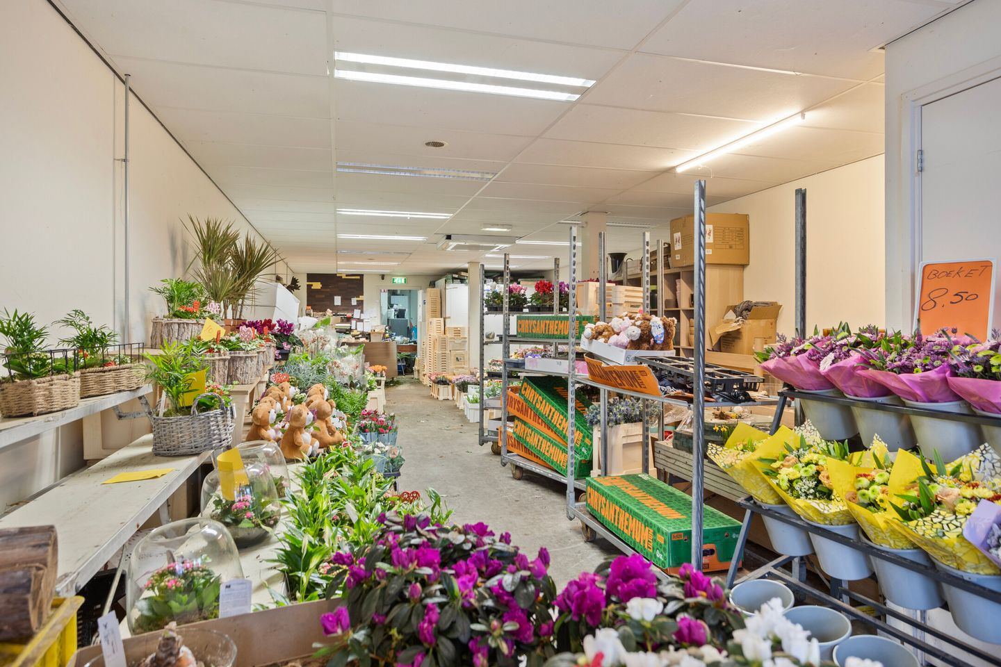 Bekijk foto 4 van Noordewierweg 97